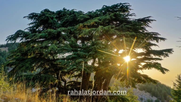 رحلات سياحية من الاردن الى لبنان